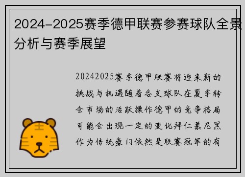 2024-2025赛季德甲联赛参赛球队全景分析与赛季展望
