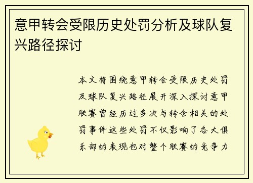 意甲转会受限历史处罚分析及球队复兴路径探讨